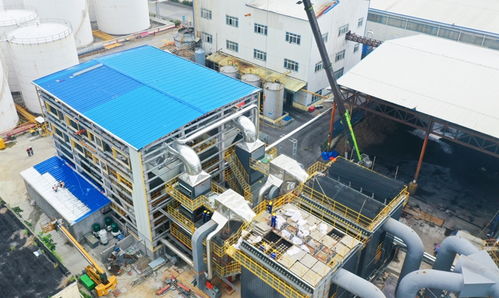 漳州開發(fā)區(qū) 中糧油脂福建工廠積極探索綠色轉(zhuǎn)型與智能化生產(chǎn)之路